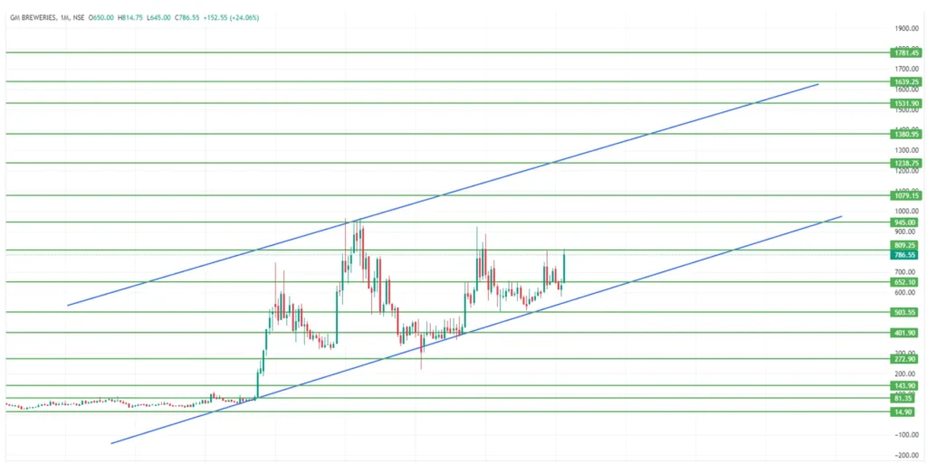 G M Breweries Share Price Target 2024,25,26,27,28,29 To 2030