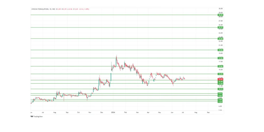 Syncom Formulations Share Price Target 2024,25,26,27,28,29 To 2030